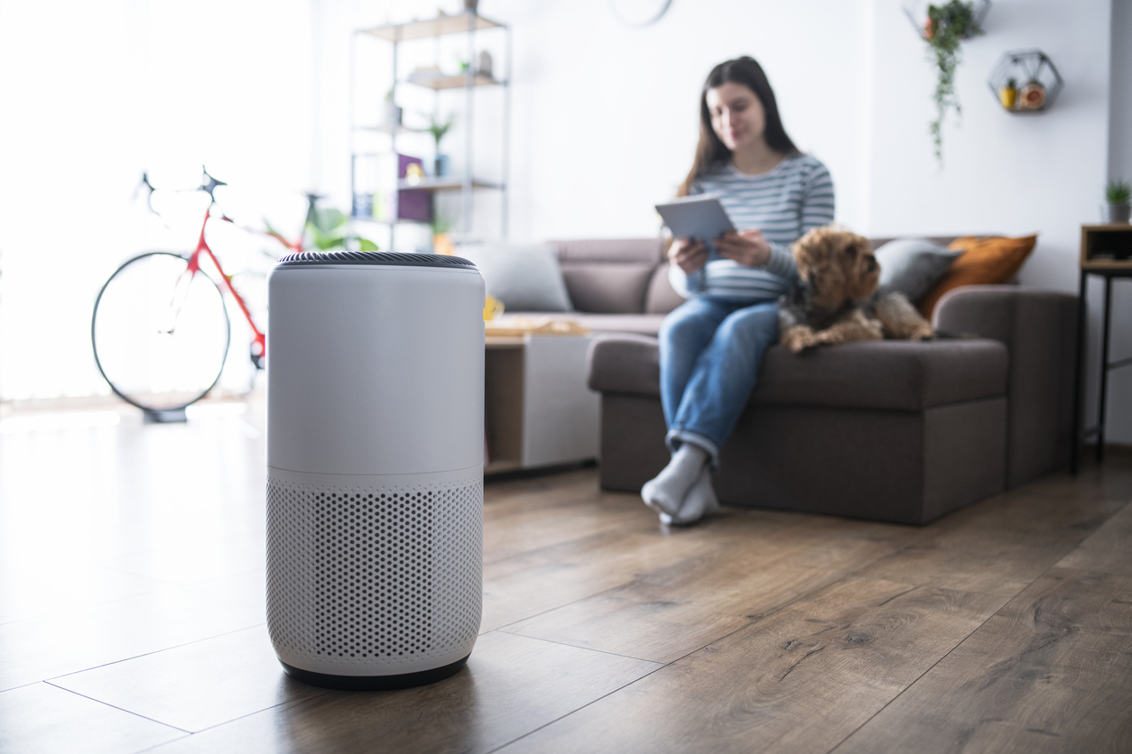 Ideas for Selecting the Preferrred Moveable Room Air Cleaner – AHAM Client Weblog