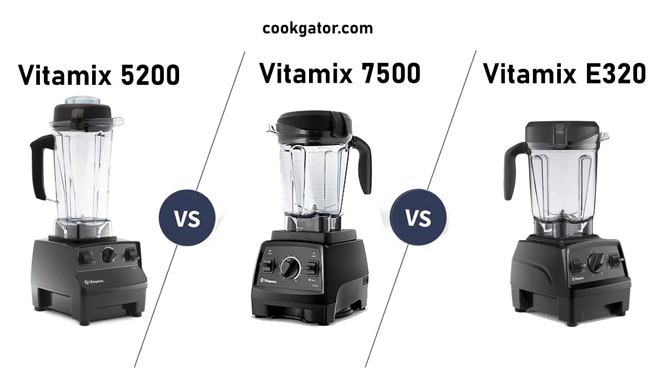 Vitamix 5200 Vs 7500 Vs 5300 Vs E320: Comparability & Opinions